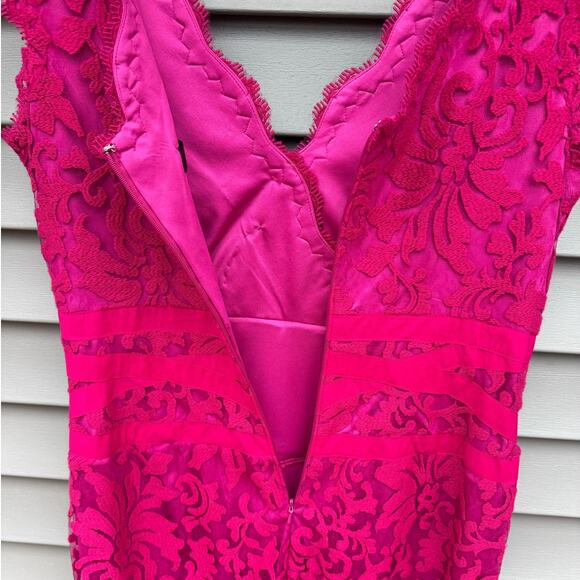 Tadashi Shoji size 14 Pink Embroidered Lace Overlay Knee Length Sheath Dress - Picture 12 of 14